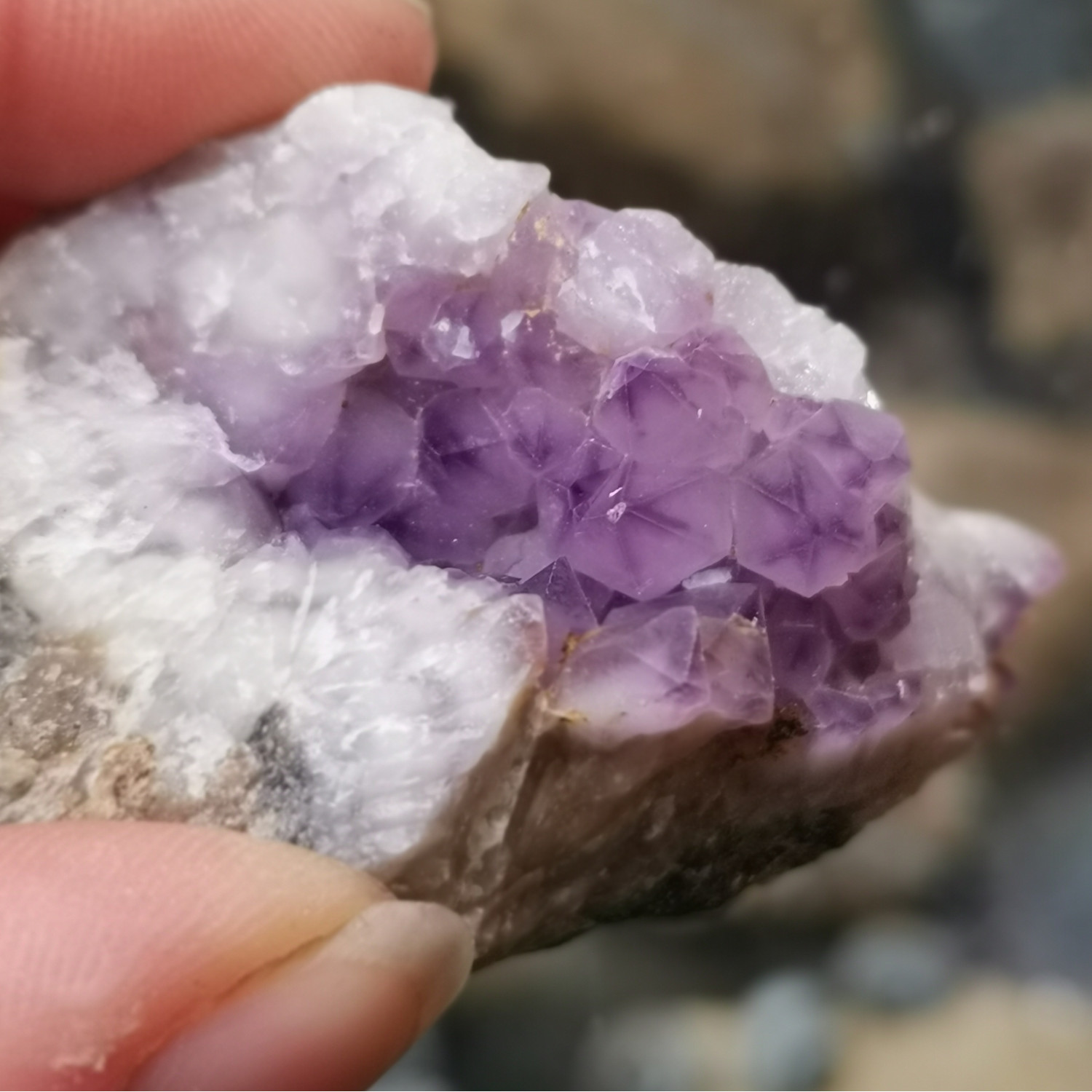 Ou Trouver De L Améthyste En Auvergne
