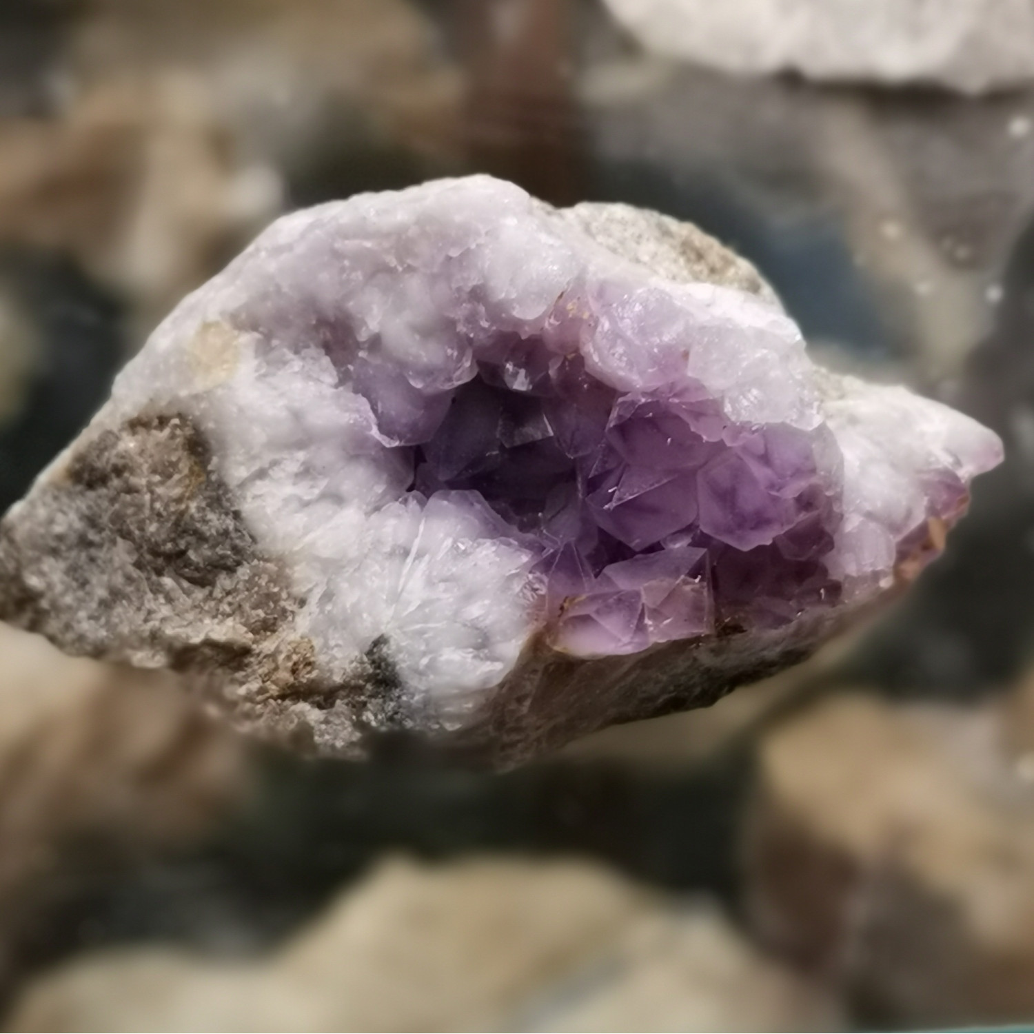 Ou Trouver De L Améthyste En Auvergne