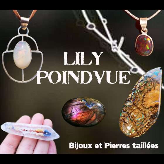 Lily poindvue - bijoux et pierres taillées